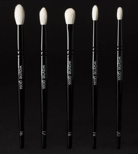 wayne goss eye brush.